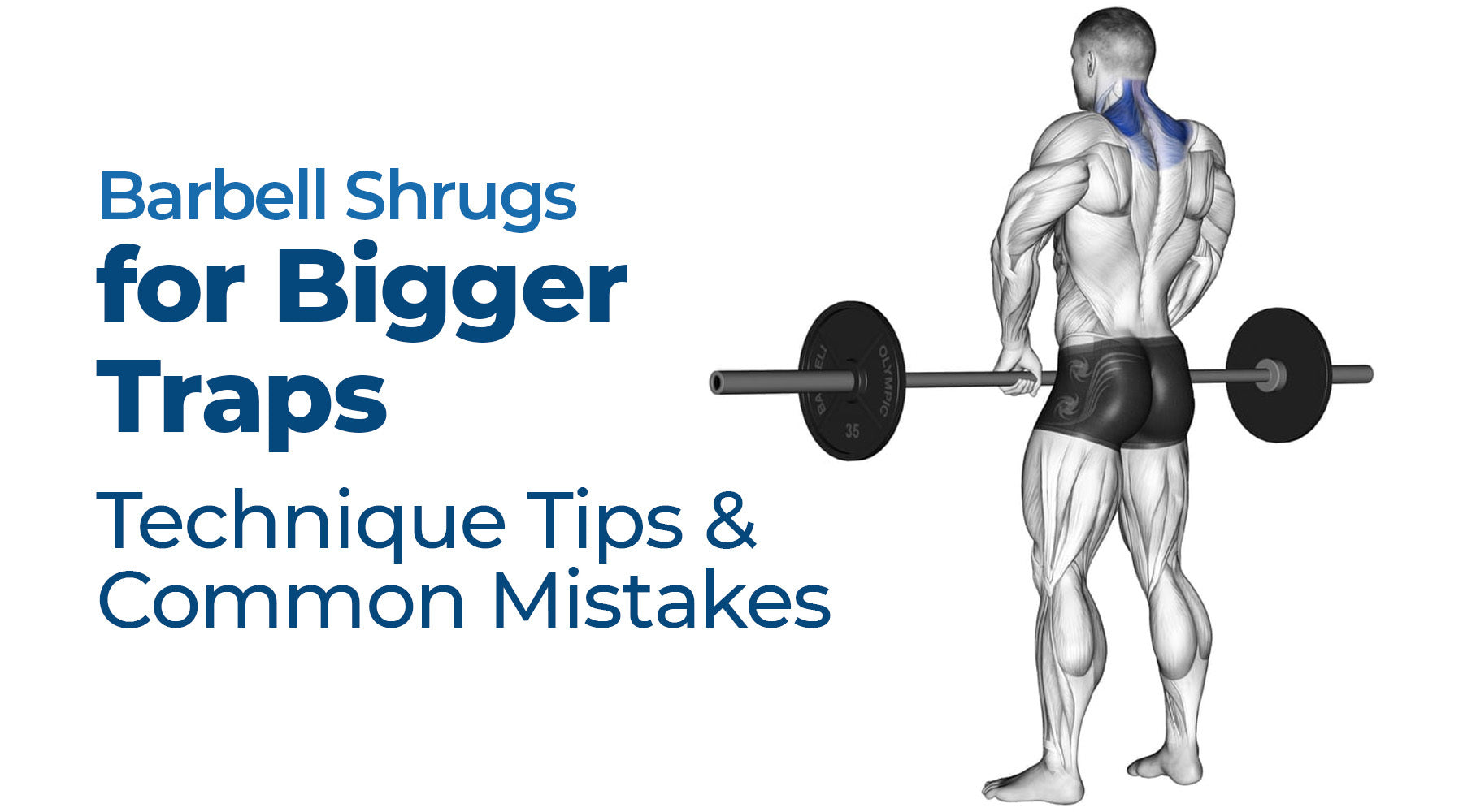 Barbell Shrugs for Bigger Traps, Technique Tips and Common Mistakes