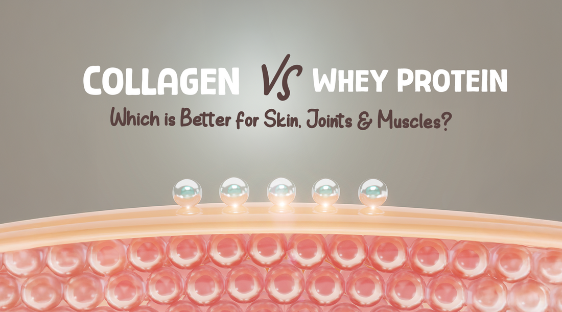 Collagen vs Whey Protein – Which is Better for Skin, Joints and Muscles?