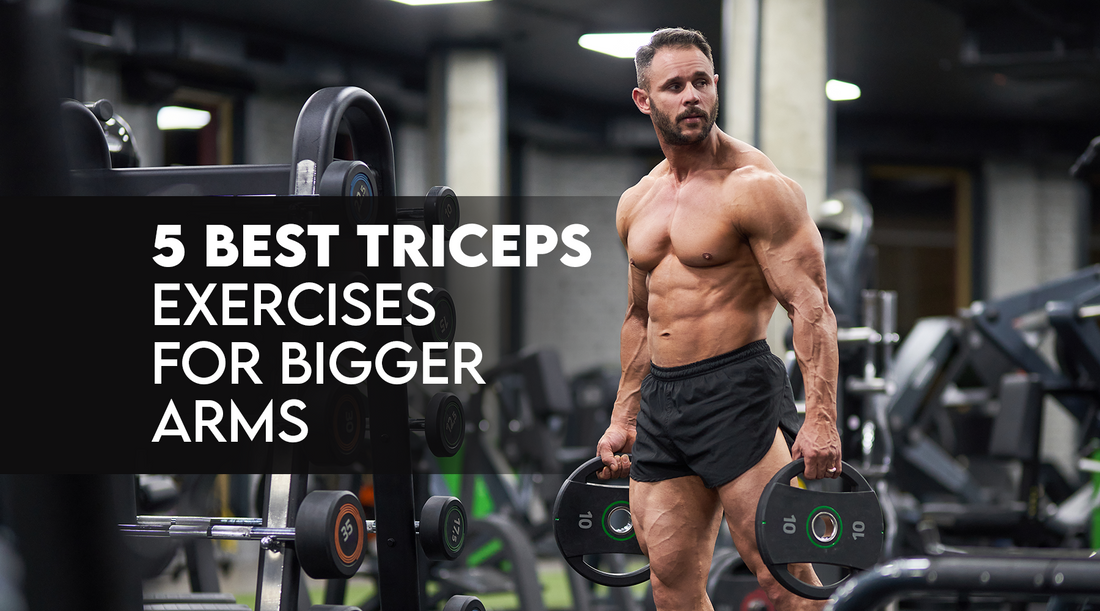 5 Best Triceps Exercises for Bigger Arms [Long Head Triceps Exercise]