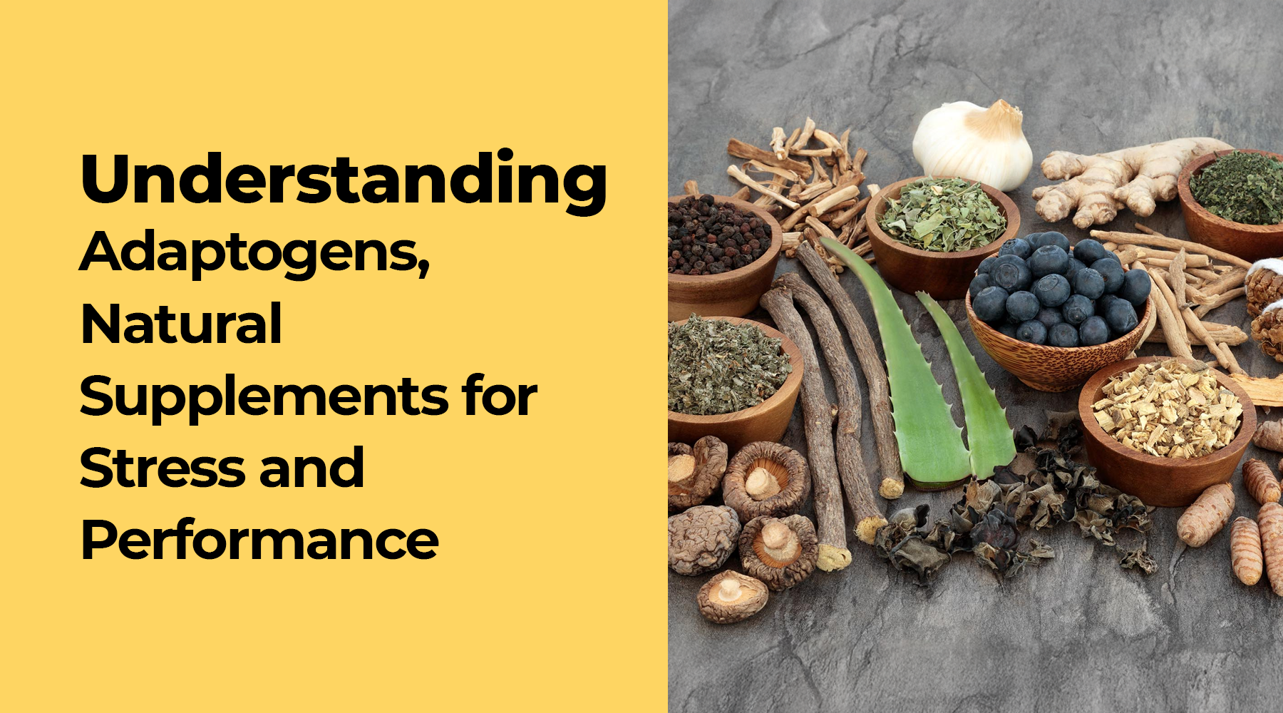 Understanding Adaptogens, Natural Supplements for Stress and Performan
