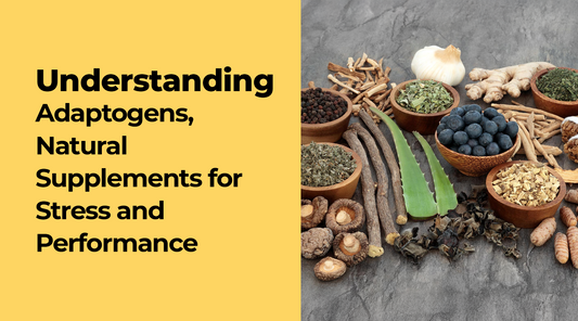 Understanding Adaptogens, Natural Supplements for Stress and Performance