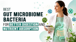 Best Gut Microbiome Bacteria for Better Digestion and Nutrient Absorption