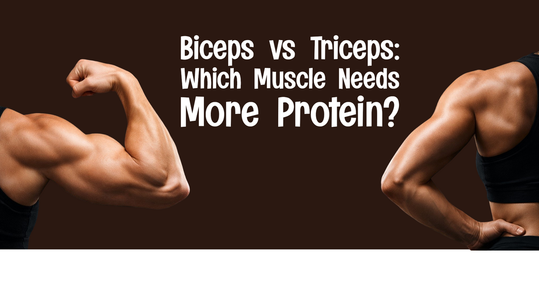 Biceps vs Triceps: Which Muscle Needs More Protein for Growth and Recovery?