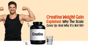 Creatine Weight Gain Explained: Why the Scale Goes Up (And Why It’s Not Fat)