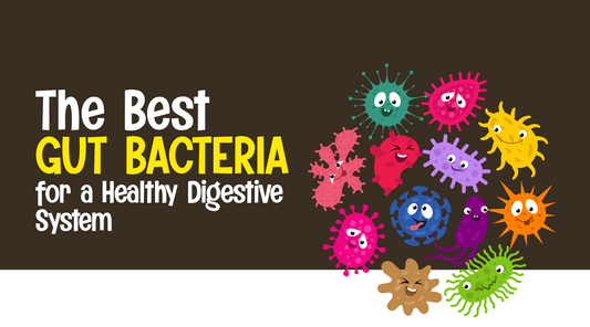 The Best Gut Bacteria for a Healthy Digestive System