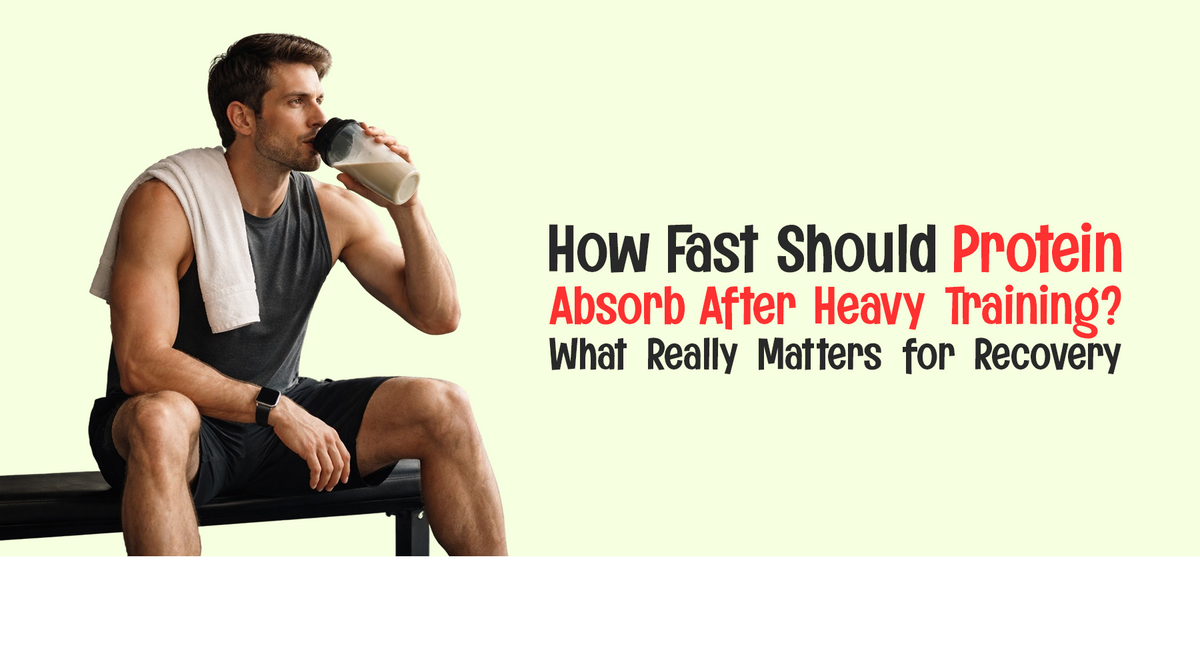 How Fast Should Protein Absorb After Heavy Training? What Really Matte