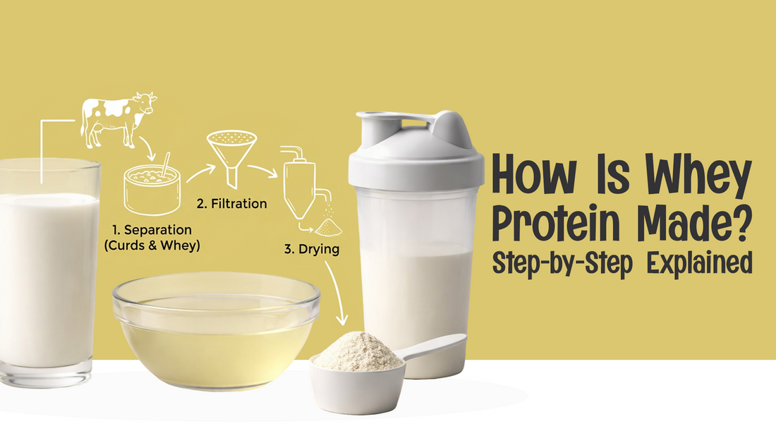 How Is Whey Protein Made? Step-by-Step Explained