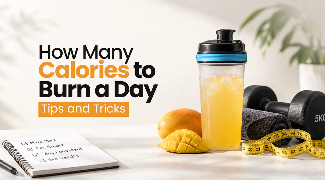 How Many Calories to Burn a Day - Tips and Tricks