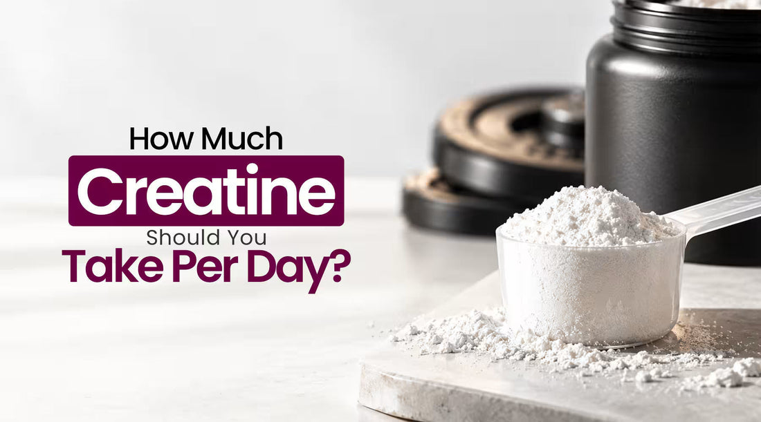 How Much Creatine Should You Take Per Day? Complete Dosage Guide