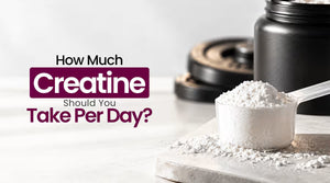 How Much Creatine Should You Take Per Day? Complete Dosage Guide