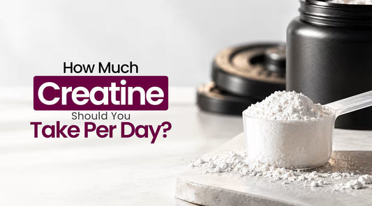 How Much Creatine Should You Take Per Day? Complete Dosage Guide