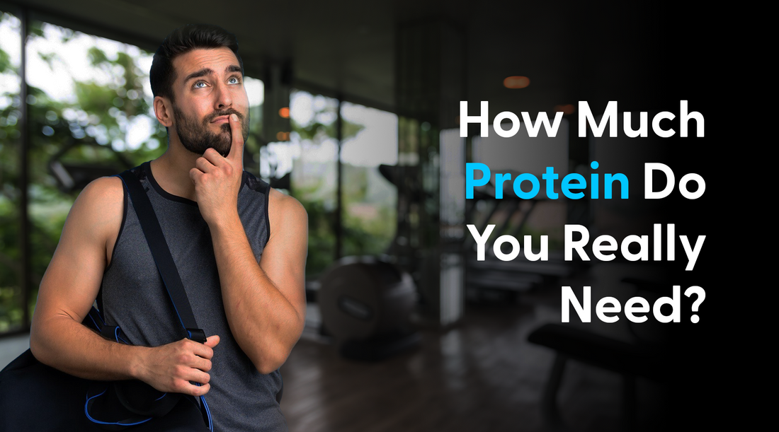 Protein Need for Day