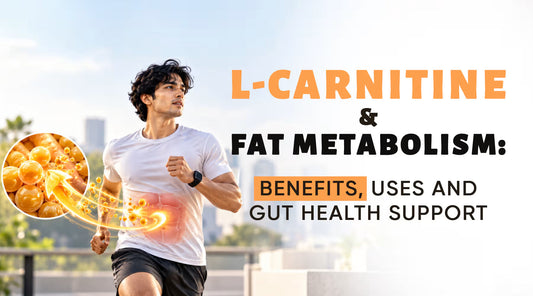 L-Carnitine and Fat Metabolism: Supporting Lean Muscle Mass and Gut Health