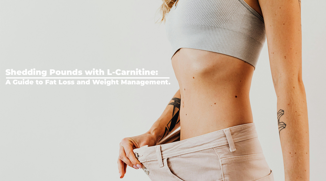 Shedding Pounds with L-Carnitine: A Guide to Fat Loss and Weight Management | Protyze Shedding Pounds with L-Carnitine: A Guide to Fat Loss and Weight Management | Protyze