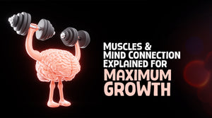Muscles and Mind Connection Explained for Maximum Growth