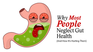 protein and probiotics for gut health