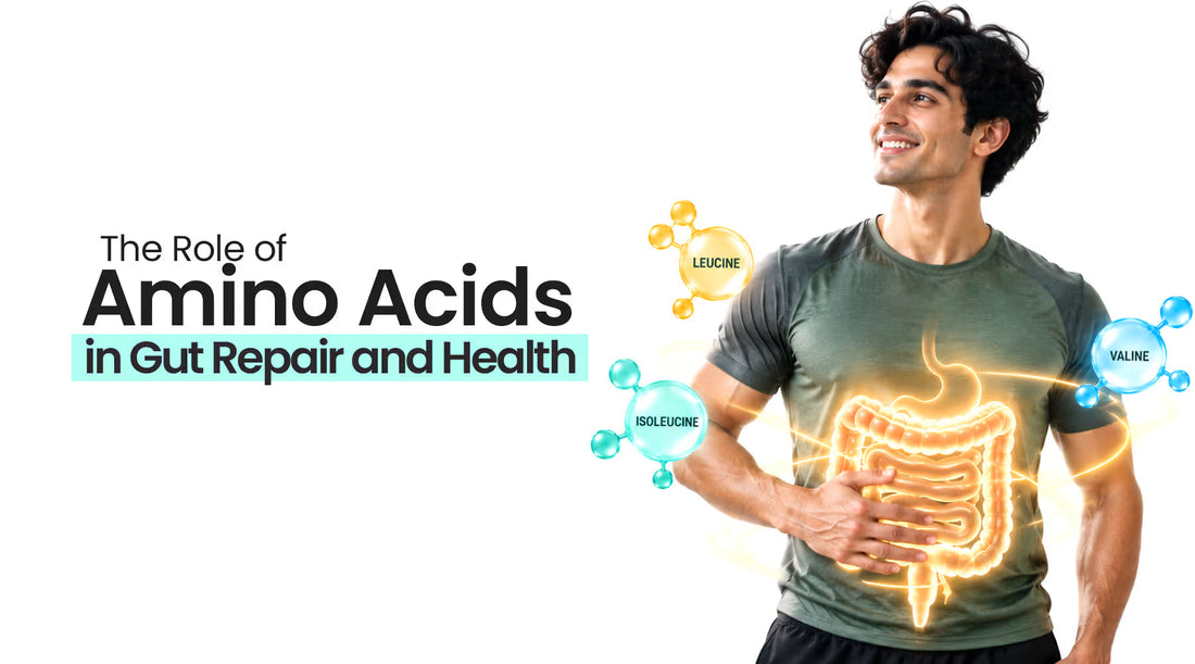 The Role of Amino Acids in Gut Repair and Health