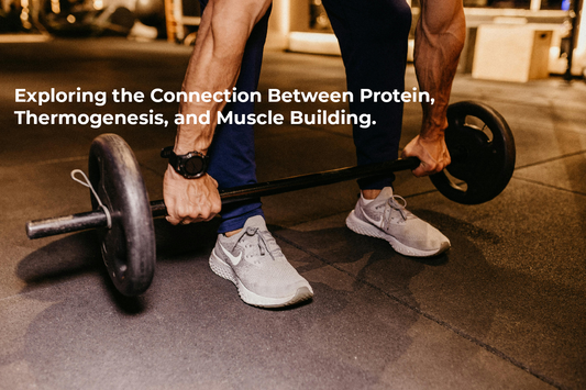Exploring the Connection Between Protein, Thermogenesis, and Muscle Building