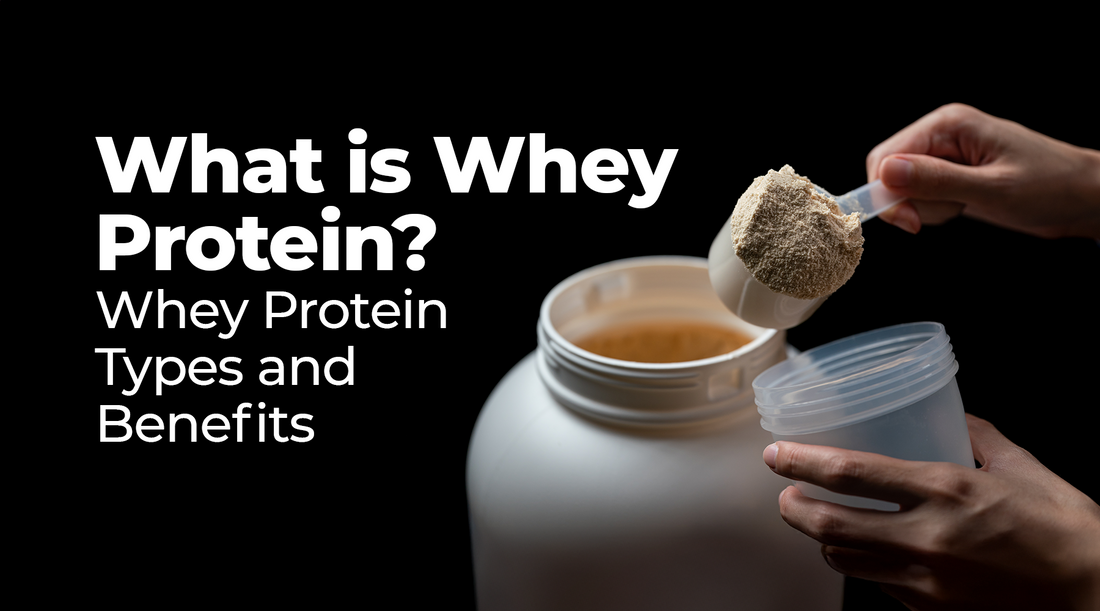 What is Whey Protein | Whey Protein Types and Benefits [Detailed Guide]