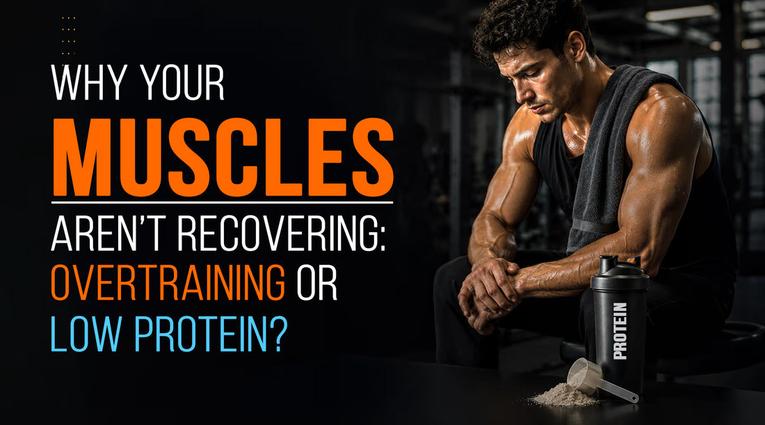 Why Your Muscles Aren’t Recovering: Overtraining or Low Protein? | Muscle Recovery Drink In India