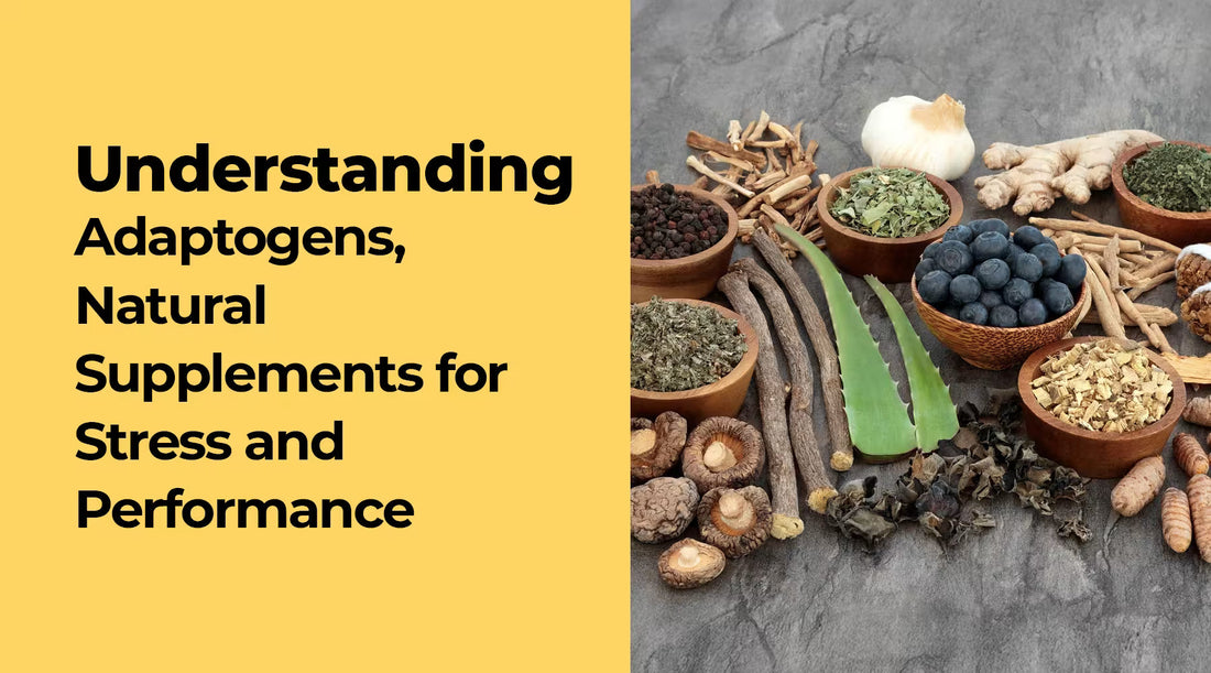 Understanding Adaptogens, Natural Supplements for Stress and Performance