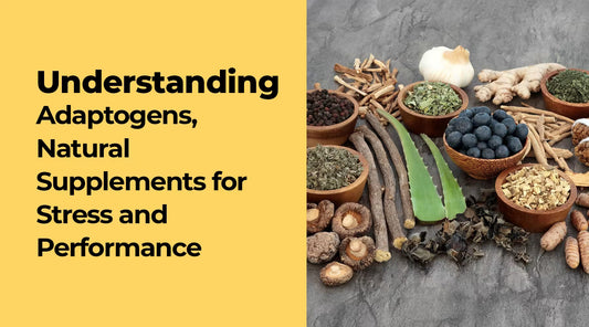 Understanding Adaptogens, Natural Supplements for Stress and Performance