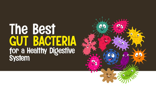 The Best Gut Bacteria for a Healthy Digestive System