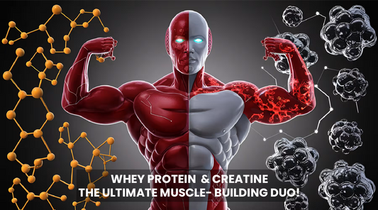 Whey Protein & Creatine: The Ultimate Muscle-Building Duo!