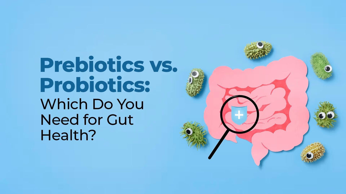 Prebiotics vs. Probiotics: Which Do You Need for Gut Health?