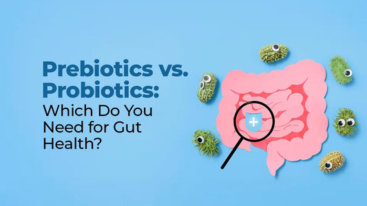 Prebiotics vs. Probiotics: Which Do You Need for Gut Health?